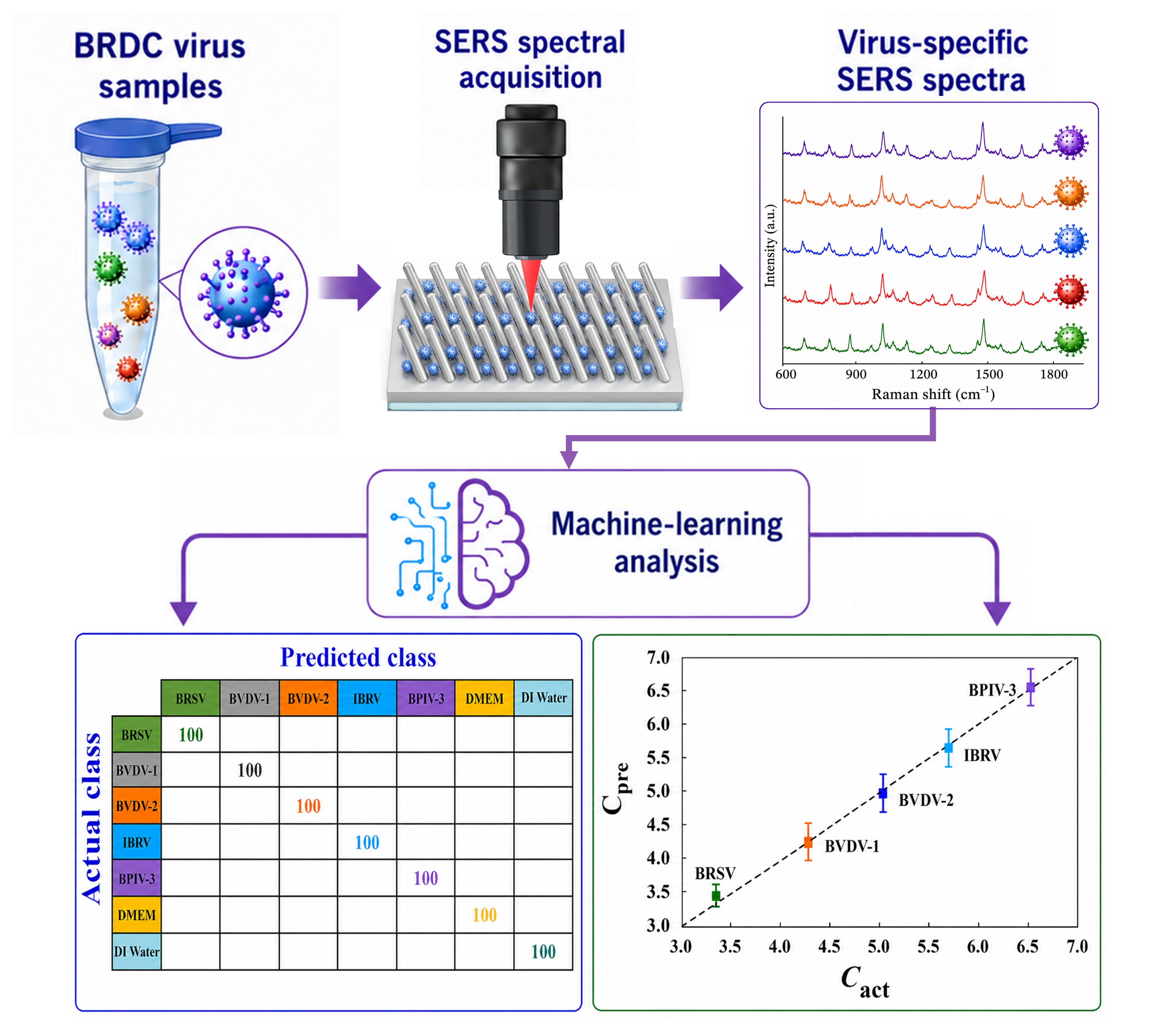 Graphical abstract for virus SERS project